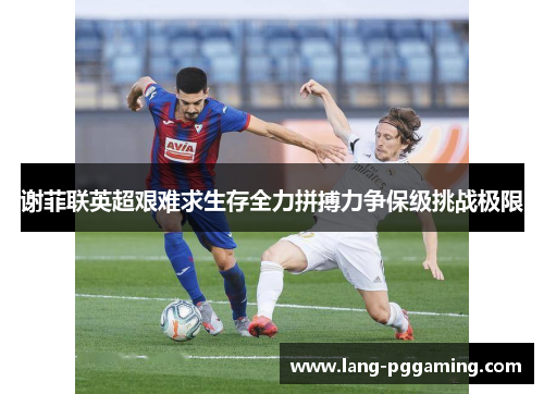 谢菲联英超艰难求生存全力拼搏力争保级挑战极限