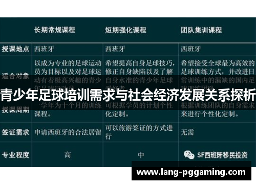 青少年足球培训需求与社会经济发展关系探析