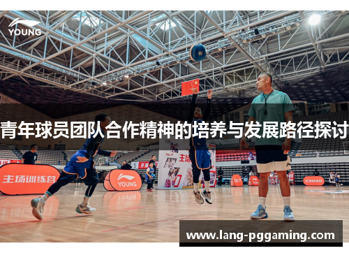 青年球员团队合作精神的培养与发展路径探讨